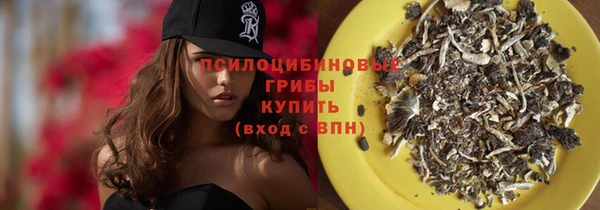 не бодяженный Михайлов