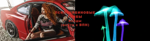 не бодяженный Михайлов